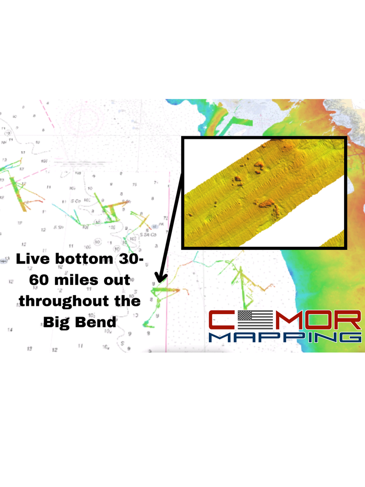 CMOR West Florida V2 3D Relief Shading Card (SIMRAD/Lowrance/VesselView)