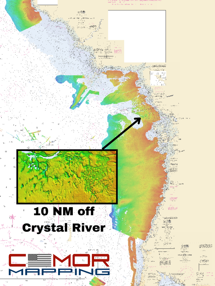CMOR West Florida V2 3D Relief Shading Card (SIMRAD/Lowrance/VesselView)