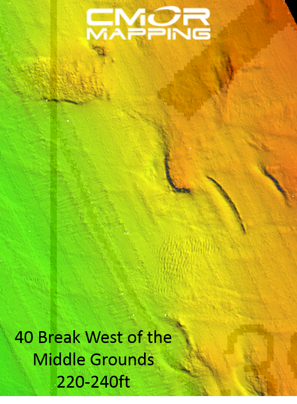 CMOR West Florida V2 3D Relief Shading Card (SIMRAD/Lowrance/VesselView)