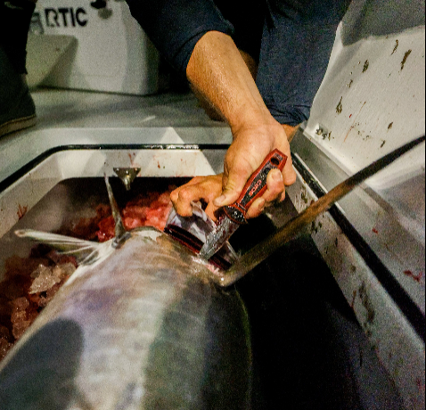 SORD 4" FREEDIVING KNIFE