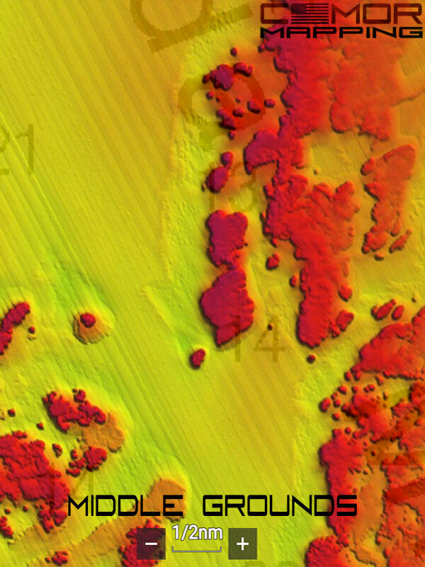 CMOR West Florida V2 3D Relief Shading Card (SIMRAD/Lowrance/VesselView)